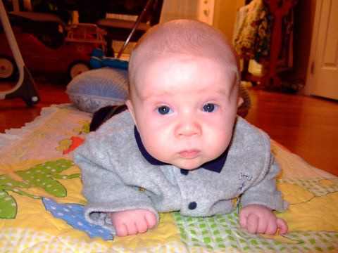 big-blue-eyes.jpg