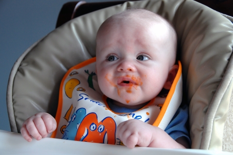 sullys-carrots