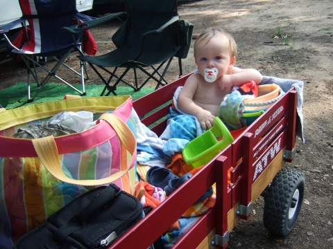 beach-sully-in-wagon beach-sully-in-wagon