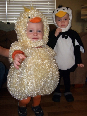halloween-birds halloween-birds
