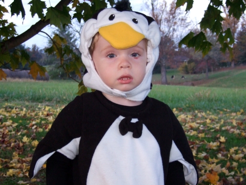 halloween-sawyer-penguin-face halloween-sawyer-penguin-face